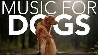 NO ADS Relaxing Music for Dogs Calming ASMR NEW 2021 [upl. by Nibroc]