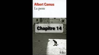 13  La peste de Camus  Chapitre 13  livre audio [upl. by Os792]