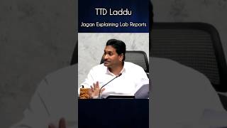 Jagan Explains TTD Laddu Lab Reports ysjagan TTD [upl. by Constanta]