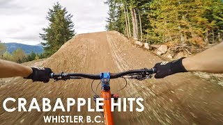 The Biggest Jumps at Whistler Bike Park  Crabapple Hits amp Aline 2016  Jordan Boostmaster [upl. by Nnagrom]