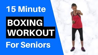 Beginner Boxing Workout For Seniors  15 Minutes [upl. by Yajnas]