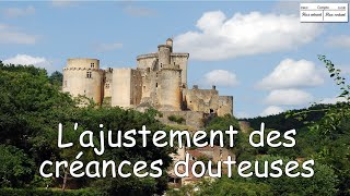 Lajustement des créances douteuses [upl. by Phyllis800]