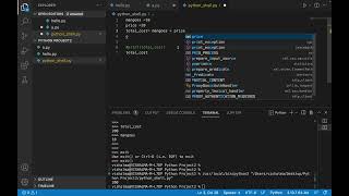 How to use Python Interactive Shell in Visual Studio code [upl. by Coheman]