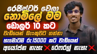 online job sinhala  online job at home sinhala  E money sinhala  online salli hoyana karama [upl. by Penelopa646]