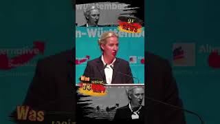 Totengräber der BRD deutschland news nachrichten politik new shorts afd weidel alice grün [upl. by Bancroft]