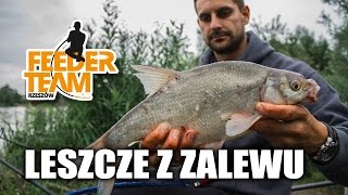 Leszcze z zalewu Wędkarstwo feeder [upl. by Irrem254]