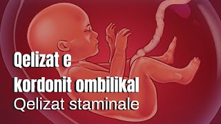 Kordoni ombilikal amp qelizat staminale burimore [upl. by Anon]