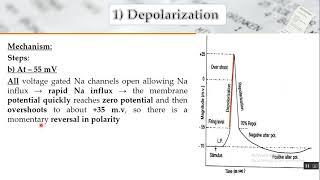 Ionic Basis and Propagation and recording of action potential in neurons [upl. by Stanfield]