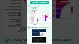 RNA Seq Data Analysis With Linux amp R Course [upl. by Clarise]