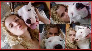 DOGO ARGENTINO The best dog [upl. by Rhianna453]