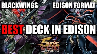 INSANELY STRONG Blackwing Deck Profile  Edison Format  YuGiOh [upl. by Grew]