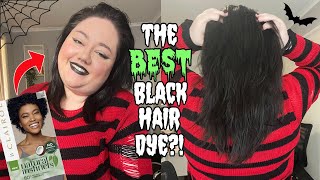 Clairol Natural Instincts Black Hair Dye Review  SemiPermanent [upl. by Nnael]