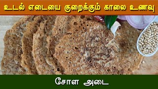 உடல் எடையை குறைக்கும் சோள அடை  Weight Loss Breakfast Chola Adai in Tamil  Solam Adai [upl. by Nandor380]