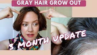 Letting your gray hair grow out naturally gracefully cold turkey Update [upl. by Daniel]