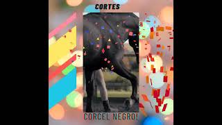 Corcel negro music [upl. by Alyahsal528]