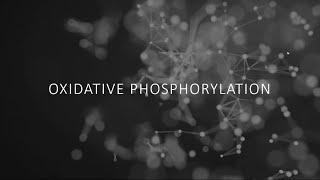 Biochemistry  Oxidative phosphorylation [upl. by Noemys]