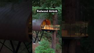 Redwood Forest Treehouse Airbnb airbnb treehouse forest [upl. by Peddada422]