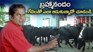 Brahmanandam  ఈ కామెడీ చూస్తే పొట్టచెక్కలే  2018 Comedy Scenes [upl. by Neeuq]