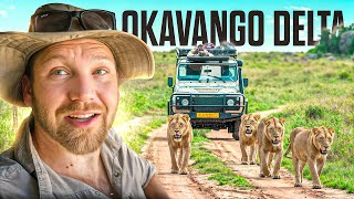 14 Tage Safari PUR im Okavango Delta in Botswana [upl. by Derby]