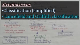 Streptococcus part1  Classification of streptococci [upl. by Barby]