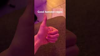 Good vs Bad hamster cages🐹 [upl. by Enilraep]