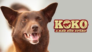 Koko A Red Dog Story  Full Movie  WATCH FOR FREE [upl. by Mohn923]