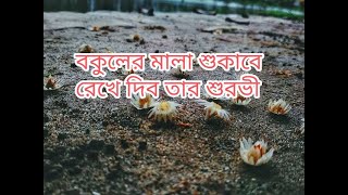 বকুলের মালা শুকাবে লিরিক্স❤️।।female version ।। bokuler mala sukabe❤️।। [upl. by Tatiana430]