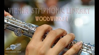 VSL Woodwinds I  Walkthrough [upl. by Paxon992]