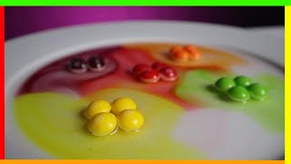 The Melting Skittles  Science Experiments at Home  Virtual Science Experiment [upl. by Haimes]