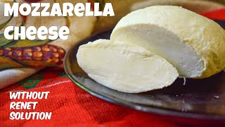 How to make Mozzarella Cheese at home  Homemade Mozzarella Cheese recipe by Cook With Us [upl. by Heiskell]