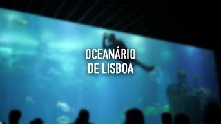 Oceanário De Lisboa • Lisboa • Portugal  BeSisluxe Tours [upl. by Llertnac]