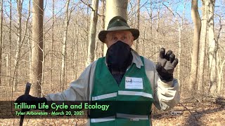 Trillium Life Cycle and Ecology [upl. by Llerrahs]