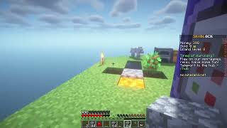 SkyBlock 1 ep mineland [upl. by Wu]