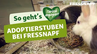 Ein Haustier aus dem Tierheim adoptieren Mit der Fressnapf Adoptierstube [upl. by Lana]