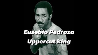 Eusebio Pedroza  body amp head uppercuts [upl. by Stalker]