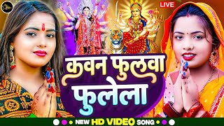 Navratri Special Bhakti Song 2024 New Devi Geet  नवरात्रि स्पॆशल गीत🌹Bhojpuri Devi Geet Bhajan [upl. by Leakcim]