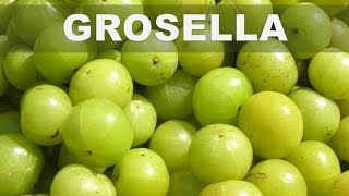 Estos son los 5 mejores beneficios del Amla o Grosella espinosa india para la salud del cuerpo [upl. by Ylelhsa]