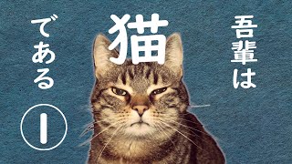 【朗読】吾輩は猫である1／夏目漱石 [upl. by Ettevi]