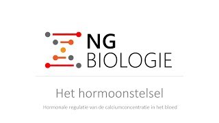 Het hormoonstelsel  hormonale regulatie van het calciumgehalte in het bloed  VWO [upl. by Enrobialc]