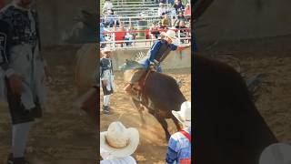 Bull riding TKO [upl. by Malva42]