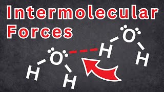 3 Intermolecular Forces You Must Know to PASS Chemistry  Tadashi Science [upl. by Efal334]