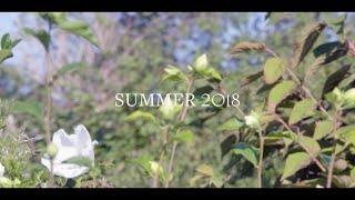 Brooks Brothers Summer 2018 Collection [upl. by Efram]