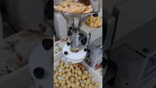 Produção de coxinhas de festa na modeladora Eicom formare festa [upl. by Arualana]