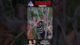 Kadhal Valarthen Video Song  Manmadhan Movie Song  STR  Jyothika  Yuvan Shankar Raja  Shorts [upl. by Sension674]