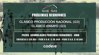 140724 CARRERAS HIPODROMO MARONAS  EN VIVO  URUGUAY [upl. by Erotavlas]