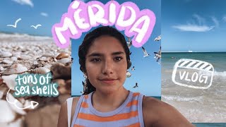 48 HOURS IN MERIDA YUCATAN  MEXICO TRAVEL VLOG [upl. by Uolymme]