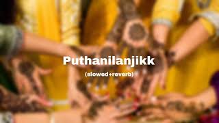 puthanilanjikk slowedreverbmailanji monjulla veedmalayalam slowed song [upl. by Kassel]