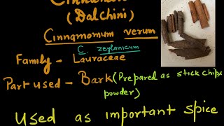 CinnamonDalchiniCinnamomum zeylanicumBotanistMeena1987 [upl. by Esital]