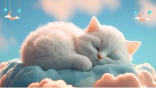 Relaxing Music for Cats LIVE 247 Peaceful Piano Music with Cat Purring SoundsSleepy Cat EPB 694 [upl. by Nicks]