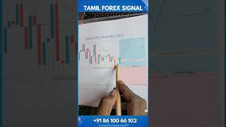 XAUUSDGold 1H Buy Projection  170924  tamilforexsignals forexsignal stockmarket [upl. by Inotna964]